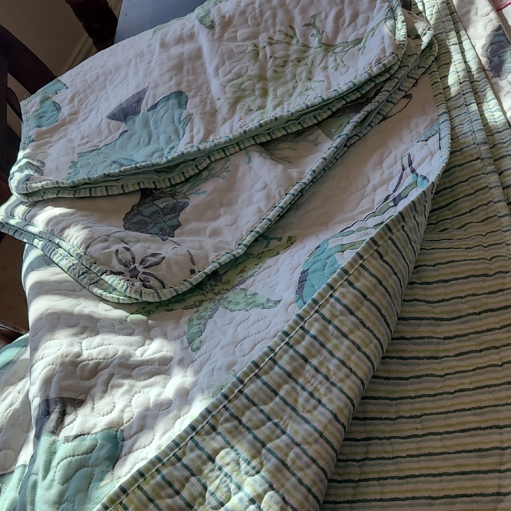 Elegant Green, Blue and White Quilted Bedding Set